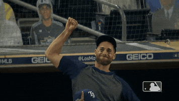 Excited Lets Go GIF by MLB