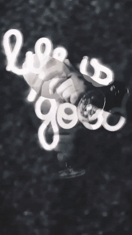 brunanardelli giphygifmaker GIF