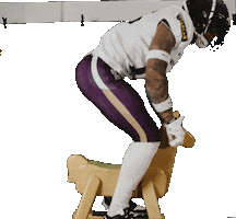 American Football Sticker by Frankfurt Galaxy