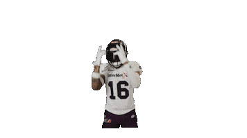 American Football Sticker by Frankfurt Galaxy