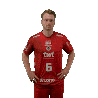 Handball Eulen Sticker by DAIKIN HBL