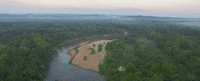 alabama GIF