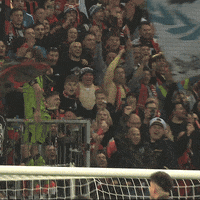 Happy Football GIF by Bayer 04 Leverkusen