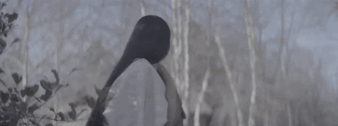 OhTheFuture giphyupload GIF