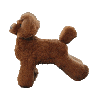 OPAWZ cute brown poodle opawz Sticker