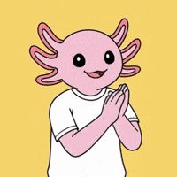 Clap Clapping GIF
