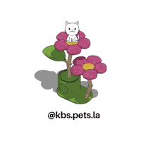 Cat Sticker by KBSPETS