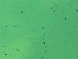 water shake GIF by The NGB