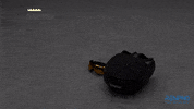 Germany Fitness GIF by RENPHO