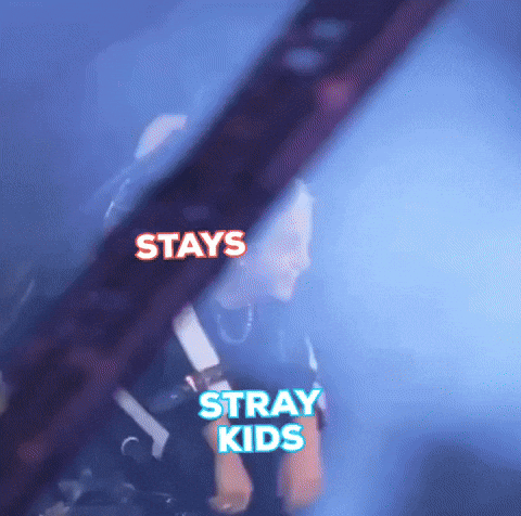 Happy Stray Kids GIF