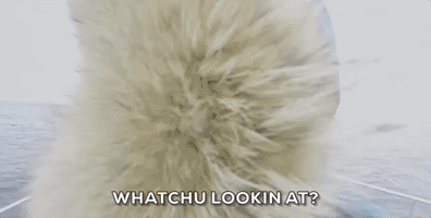 look looking GIF by Red Bull