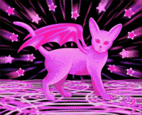 deepspaceviolet cat rainbow trippy cats GIF