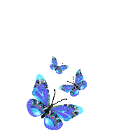 Edct Sticker by Earthdance Cape Town