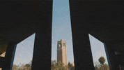 florida gators homecoming GIF by University of Florida