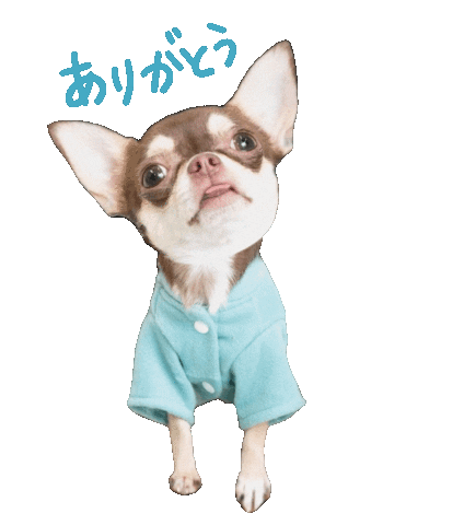 Dog Thank You Sticker