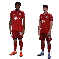fcbayerncampus football soccer fussball fcb Sticker