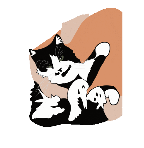 yulegrs giphyupload cat кошка мило Sticker