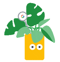 Plant Houseplant Sticker by Google