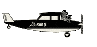 Plane Flying Sticker by Michelle Rago Destinations