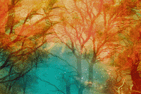 film color GIF by Blanca Viñas