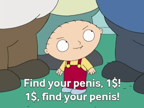 werner_the_ferret giphygifmaker GIF