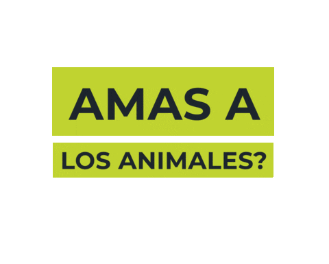 Apoya Sticker by The Humane League