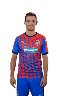 Hrosovsky Sticker by FCVP