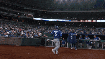 Home Run Baseball GIF by Toronto Blue Jays