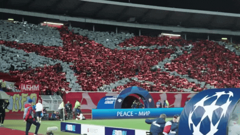 GIF by FK Crvena zvezda