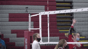 Volleyball GIF by Colgate Athletics