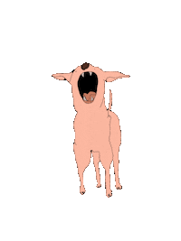 Dog Bark Sticker