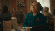 Excuse Me What GIF by HBO Max