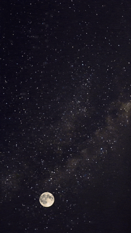 Simongip giphyupload GIF