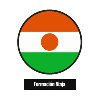 Niger Flag Sticker by Formación Ninja