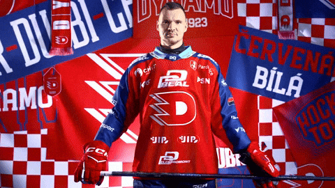 Kelemen GIF by HC Dynamo Pardubice