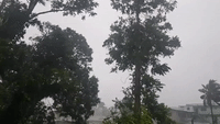 Powerful Winds Batter Suva as Cyclone Ana Makes Landfall in Fiji
