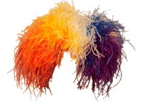 Royal Ascot Rainbow Sticker by Ascot Racecourse