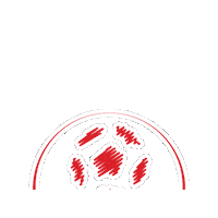 Euro-Sportring brabant esr euro-sportring brabant boys cup Sticker