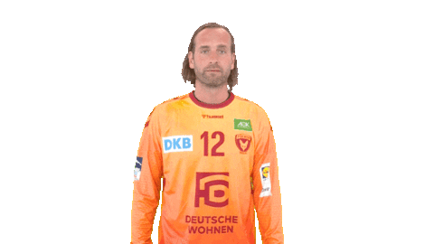 Handball-Bundesliga Berlin Sticker by LIQUI MOLY HBL