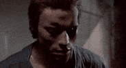 terminator arnold GIF