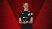 Hoffenheim GIF by Bundesliga