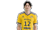 Kb스타즈 Sticker by KB STARS VOLLEYBALL CLUB