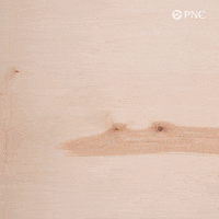 Chicago Bears GIF by PNC Bank