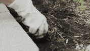 GIF by Nationwide