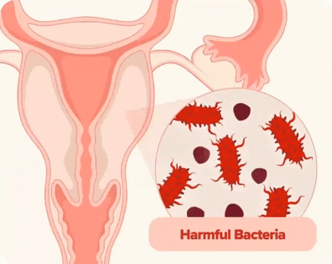 NN4654 giphyupload GIF