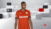 Come On Please GIF by Bundesliga