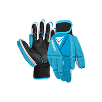 hockey gloves Sticker by AZEMAD Sport