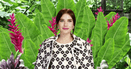 katespadeny kate spade GIF