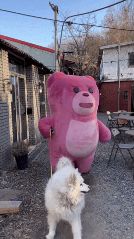 Fun Love GIF