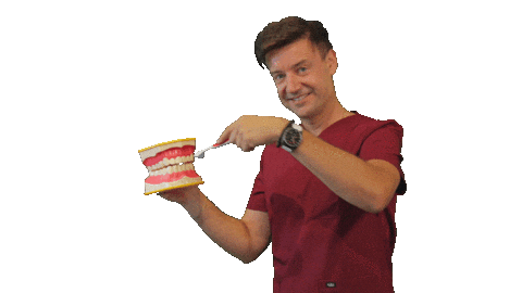 Dentist Stalowawola Sticker by Crazy Pig